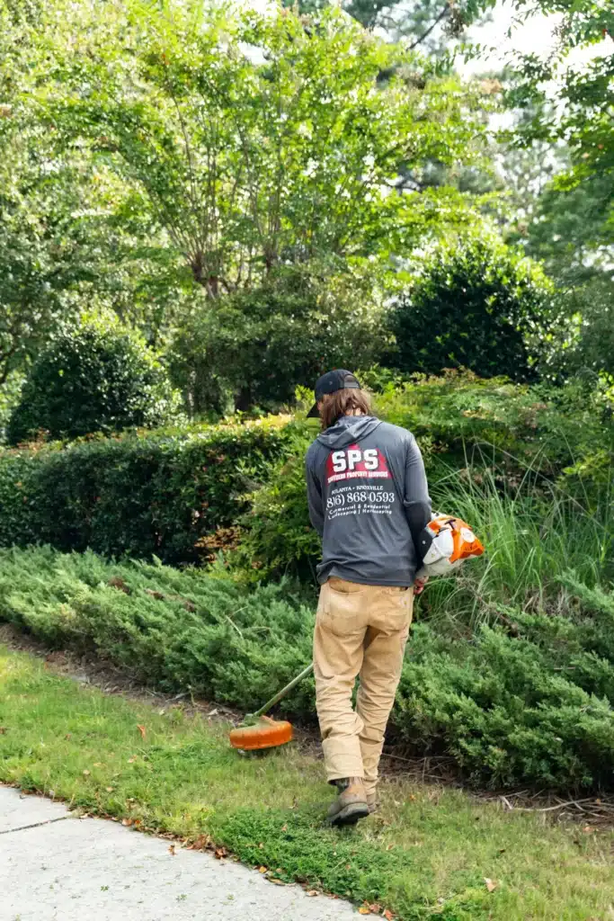 Why Fall Is The Best Time to Get Landscaping Services in Alpharetta 2 Why Fall Is The Best Time to Get Landscaping Services in Alpharetta
