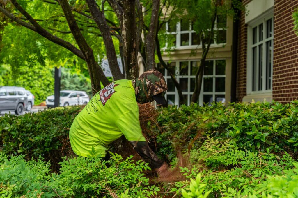 lawn care services Atlanta